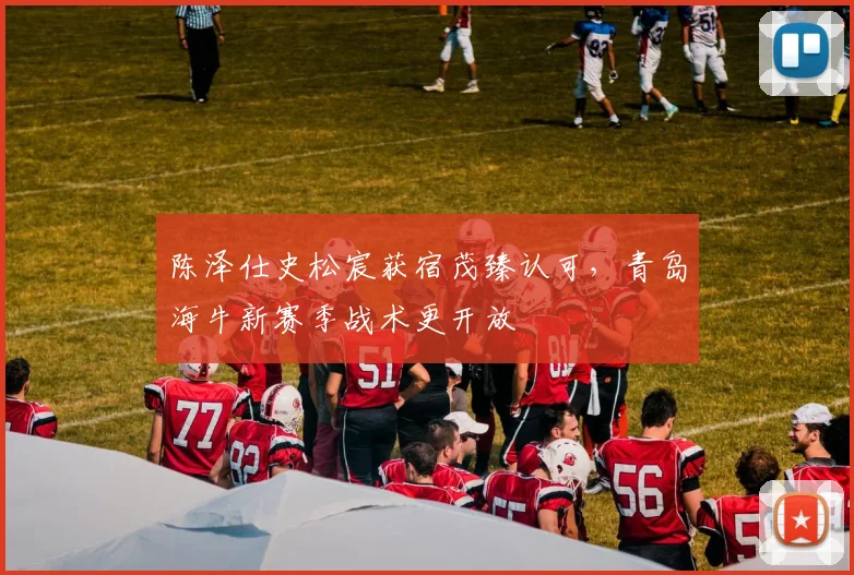 陈泽仕史松宸获宿茂臻认可,青岛海牛新赛季战术更开放