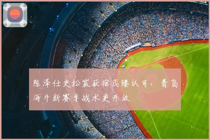 陈泽仕史松宸获宿茂臻认可，青岛海牛新赛季战术更开放